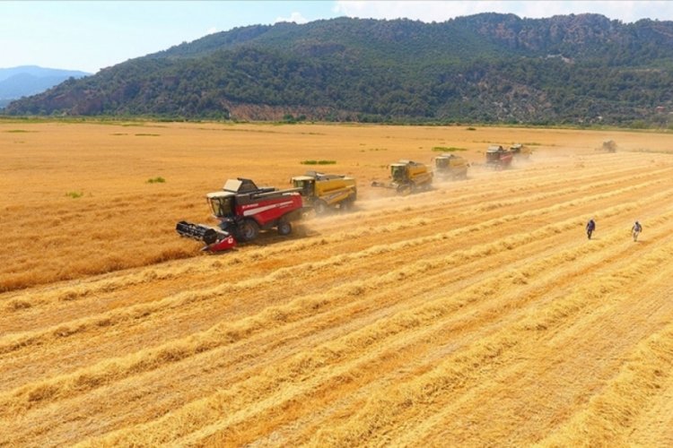 T&Uuml;RİB tarımsal &uuml;r&uuml;n endekslerinde işlem hacmi 7,6 milyar lirayı ge&ccedil;ti