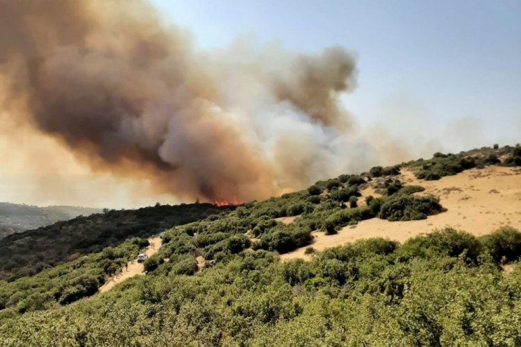 &Ccedil;anakkale'de aynı noktada 9.yangın!