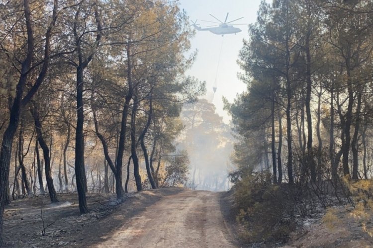 Muğla Seydikemer'deki yangın kontrol altına alındı