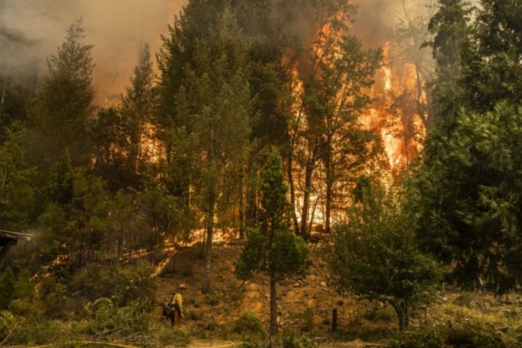 ABD'nin California eyaletinde s&uuml;ren orman yangını Tahoe G&ouml;l&uuml;'ne yaklaştı!