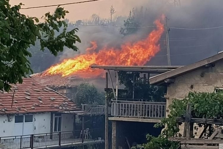 Antalya'da ormanı yakanı ihbar eden kadın konuştu: Sevgilim değil