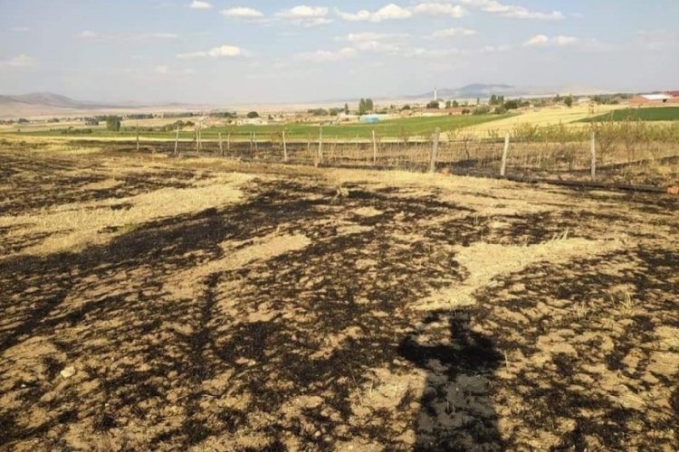 Y&uuml;ksek gerilim hattına konan kuş yangına sebep oldu