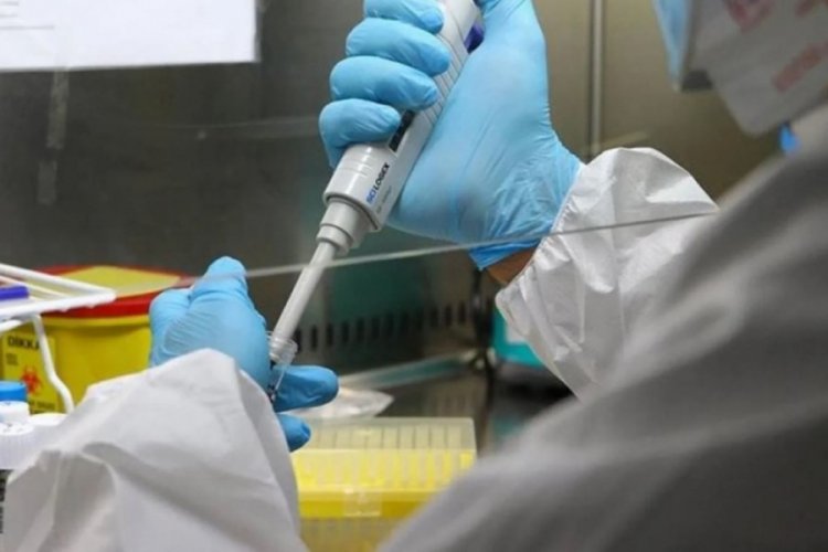 &Ccedil;in'den DS&Ouml;'ye ABD'deki bazı laboratuvarların faaliyetini inceleme talebi