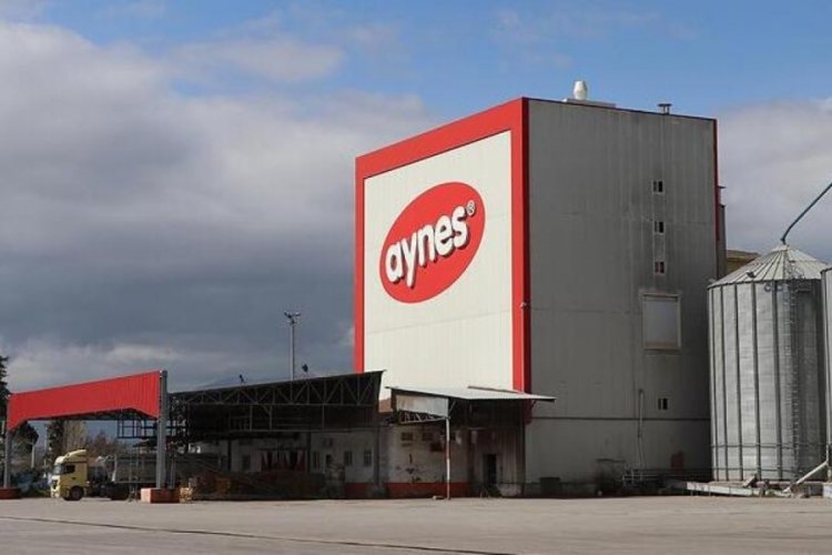 TMSF, Aynes'i satışa &ccedil;ıkardı