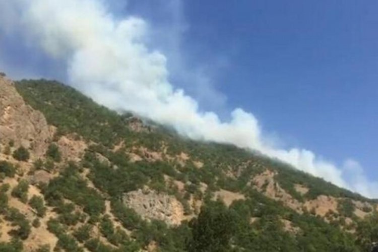 Tunceli'de örtü yangınları kontrol altında