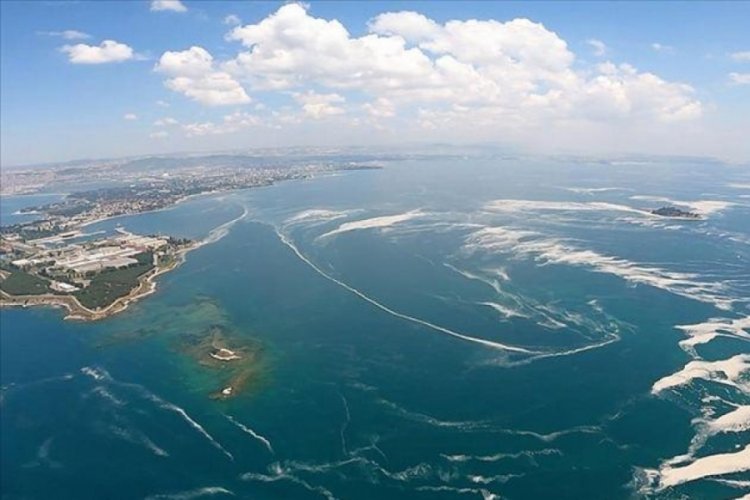 Balık sezonu başlıyor! Marmara'da m&uuml;silaj engeli