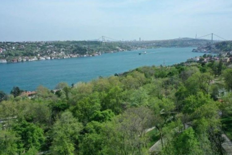 İstanbul'da ormanlara giriş yasağı 1 ay daha uzatıldı