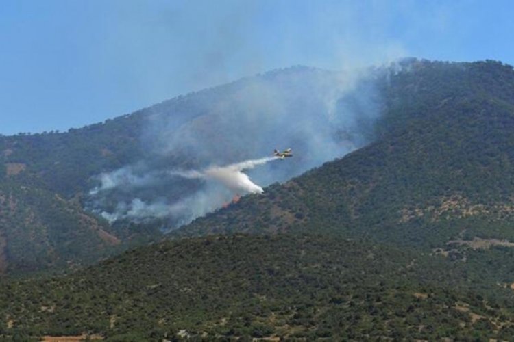 Tunceli'deki orman yangını kontrol altında!