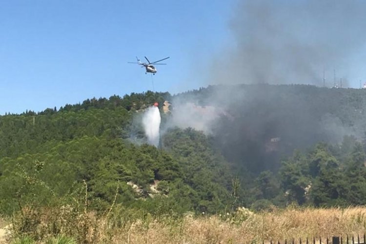 &Ccedil;anakkale'deki orman yangını kontrol altında!