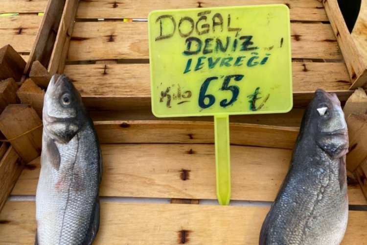 Av sezonu açıldı! İşte Bursa'da balık tezgahlarında ilk fiyatlar... (ÖZEL HABER)