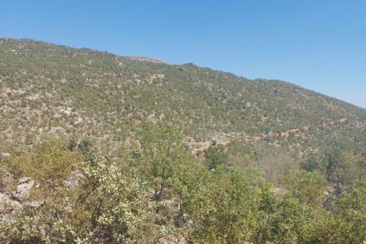Elazığ'daki &ouml;rt&uuml; yangını kontrol altına alındı