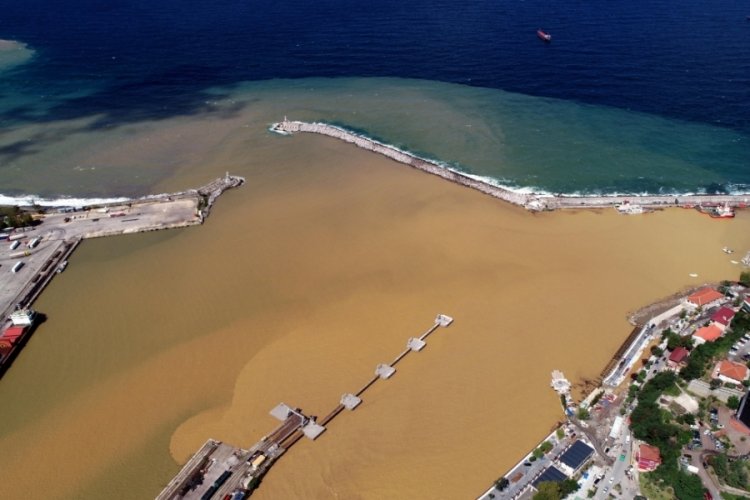 Zonguldak'ta deniz &ccedil;amur rengine b&uuml;r&uuml;nd&uuml;