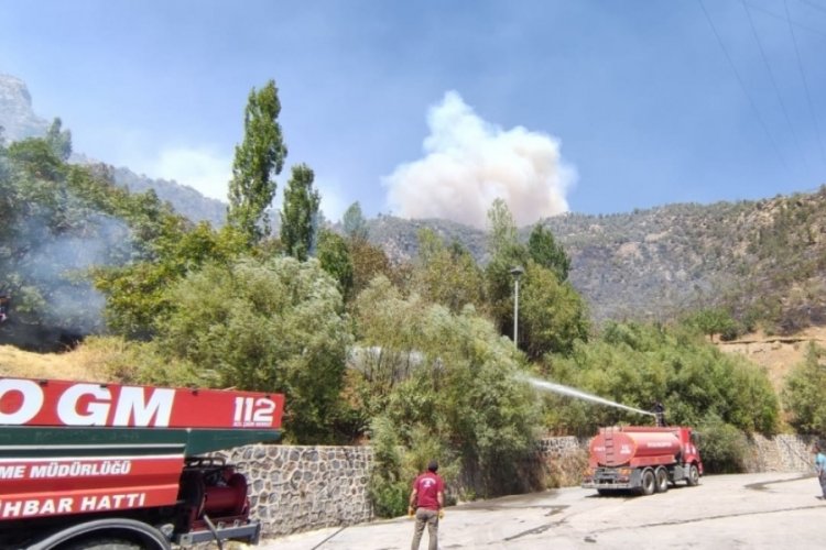 Tunceli'deki orman yangınları kontrol altına alındı