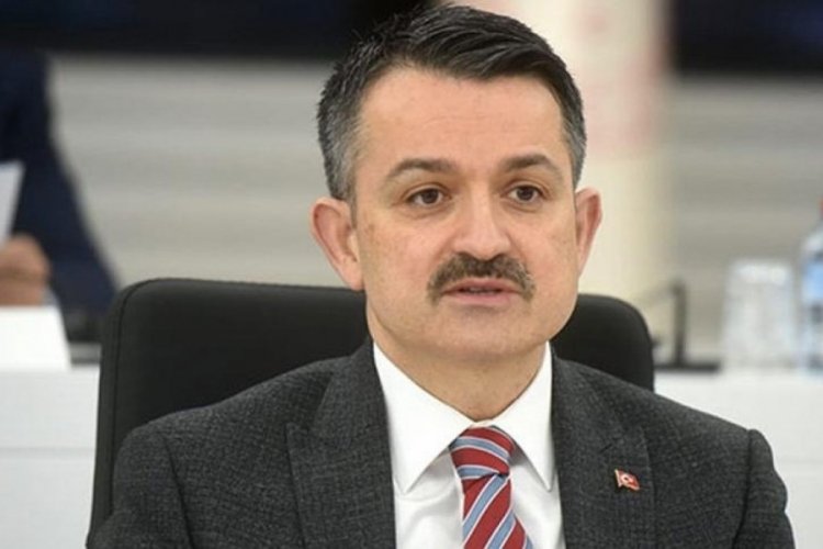 Bakan Pakdemirli: Tunceli'de 83 bin fidan dikeceğiz