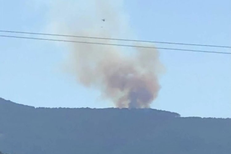 Denizli'de orman yangını kontrol altına alındı