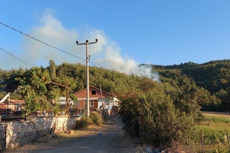 Balıkesir'deki orman yangını kontrol altında