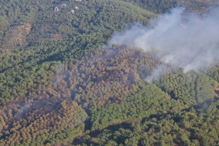 Balıkesir Burhaniye'de &ccedil;ıkan orman yangını kontrol altına alındı