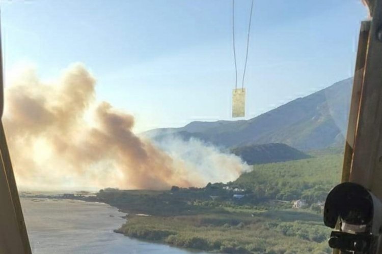 Aydın S&ouml;ke'deki orman yangında tarım arazileri zarar g&ouml;rd&uuml;