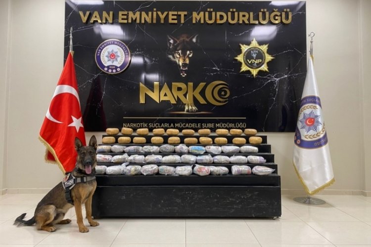 Van'da kamyon kasasındaki esrarı 'Thor' buldu!