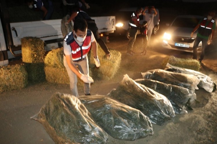 Denizli'de 285 kilo esrarla yakalanan s&uuml;r&uuml;c&uuml; tutuklandı