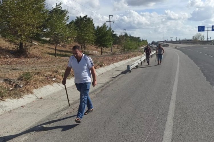 Mezbahadan ka&ccedil;an inek ortalığı birbirine kattı