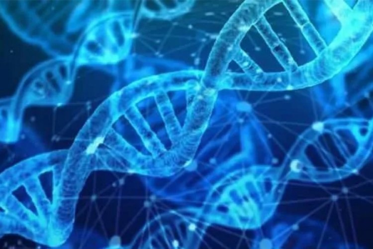 T&uuml;rkiye'nin genetik kodu araştırıldı! Bir&ccedil;ok toplum ile benzerlikler bulundu