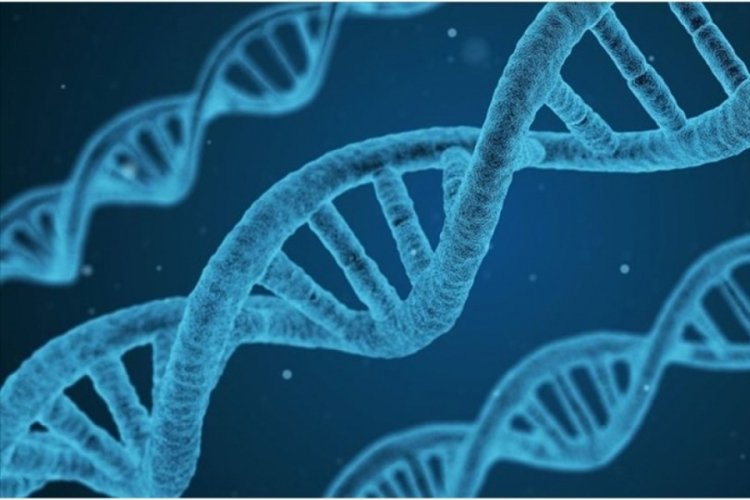 T&uuml;rklerin genetik kodu araştırıldı