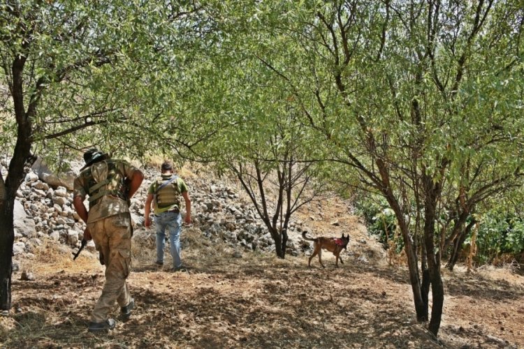Mardin'de eşini &ouml;ld&uuml;ren koca, arazide &ouml;l&uuml; bulundu