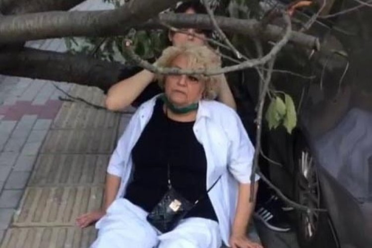 Şiddetli rüzgarda devrilen ağaç yaşlı kadını yaraladı