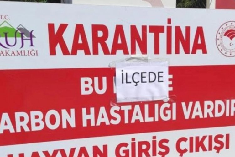 Siirt'te şarbon paniği! Hayvan giriş-&ccedil;ıkışları yasaklandı
