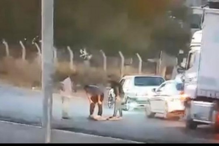 Eskişehir'de &ccedil;arptığı k&ouml;peği &ouml;l&uuml;me terk etti