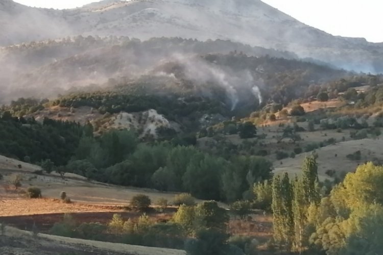 Ankara &Ccedil;ubuk'taki orman yangını kontrol altına alındı