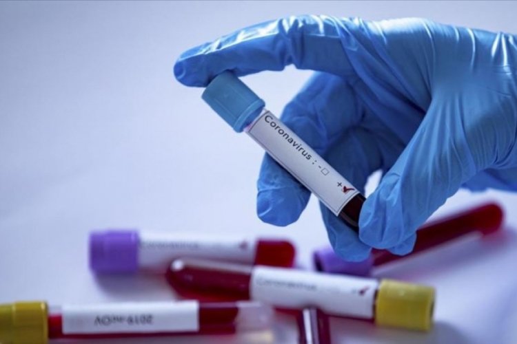 Sivas'ta pozitif vaka g&ouml;r&uuml;len sınıfta uzaktan eğitime ge&ccedil;ildi