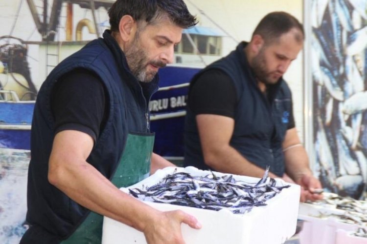İstavritin kilosu 5 liraya d&uuml;şt&uuml;!