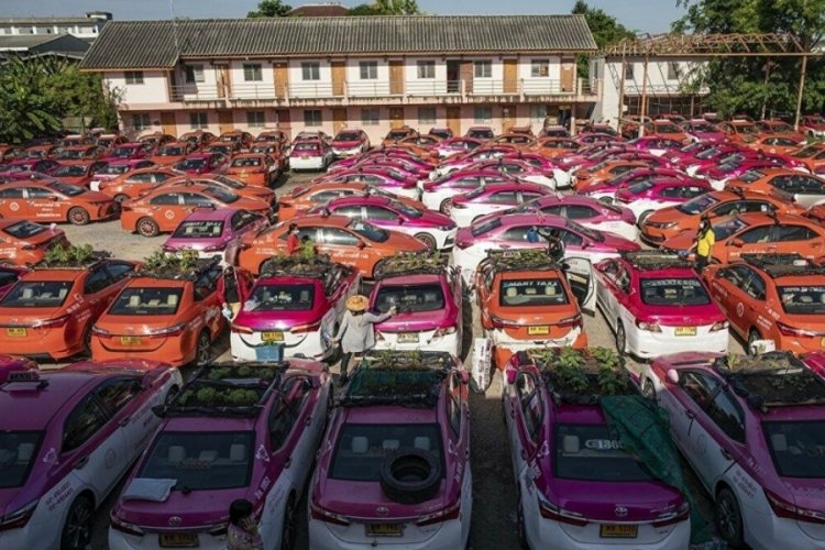Tayland'da koronavirüsten etkilenen taksiler sebze bahçesine dönüştürüldü