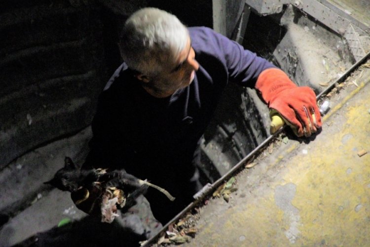 Bursa'da yeraltı &ccedil;&ouml;p&uuml;ne atıldığı iddia edilen kedi kurtarıldı