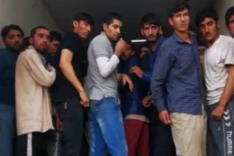 Van'da 158 kaçak göçmen yakalandı