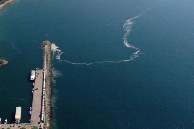Marmara Denizi'nde yeni tehlike: Oksijen azlığı