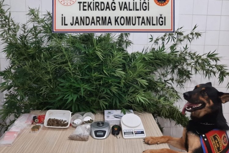 Tekirdağ'da kuş yemi kutusuna uyuşturucu gizlemiş!