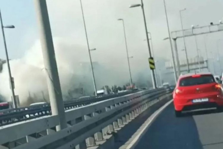 İstanbul'da ağaçlık alanda korkutan yangın