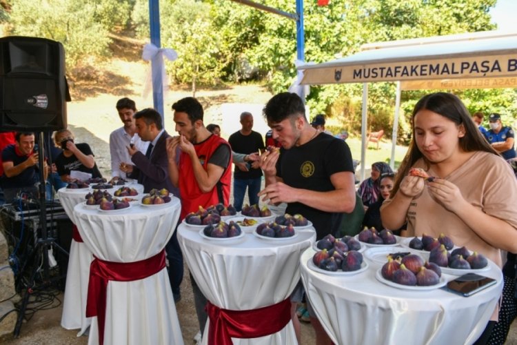 Bursa Mustafakemalpaşa Kara incir'in yeni merkezi olacak