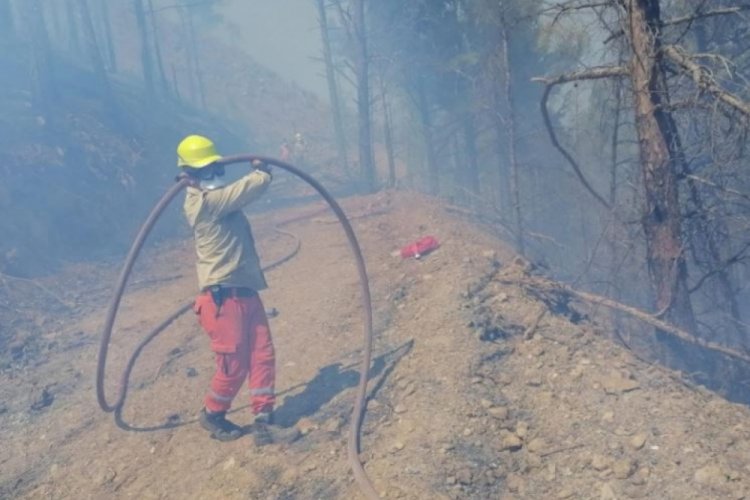 Mersin'in Anamur ilçesinde orman yangını!