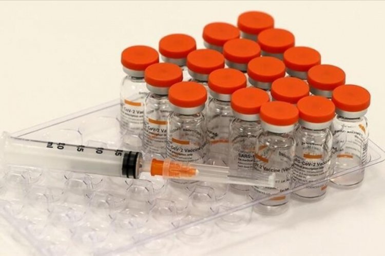 Sinovac aşıları güvenilir mi?