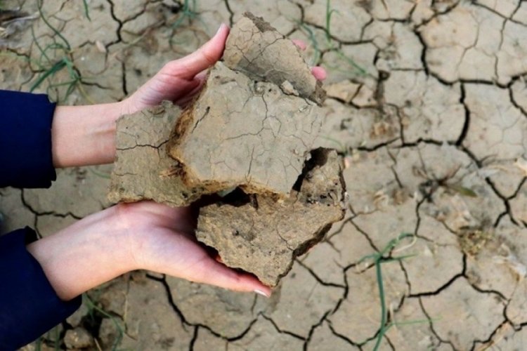 T&uuml;rkiye'nin y&uuml;zde 55'i şiddetli kuraklık yaşıyor