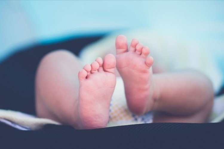 İngiltere ekonomik durgunluğa neden olacak 'bebek kıtlığı' ile karşı karşıya