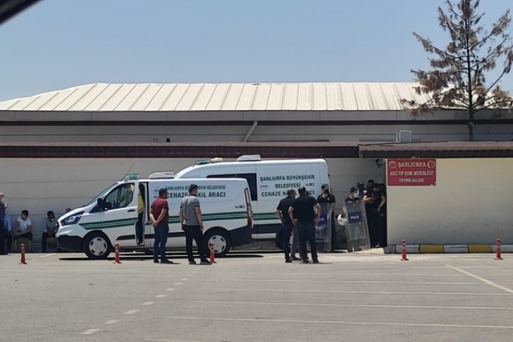 Şanlıurfa'da sırtından t&uuml;fekle vurularak &ouml;ld&uuml;r&uuml;ld&uuml;