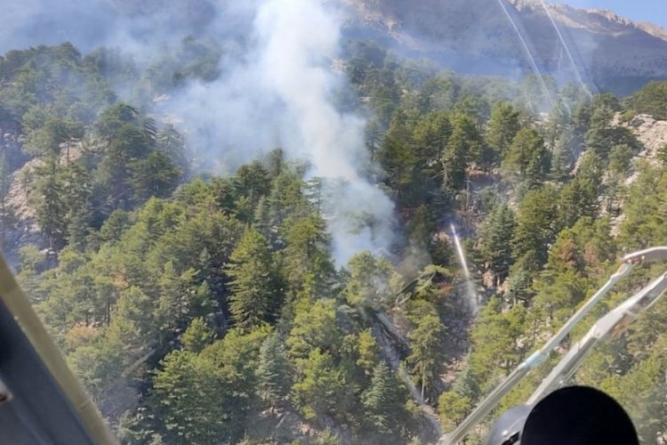 Antalya Manavgat'ta orman yangını