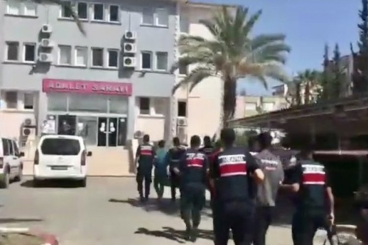 Mersin'de yanan ormanlar i&ccedil;in bekletilen tohumları &ccedil;aldılar