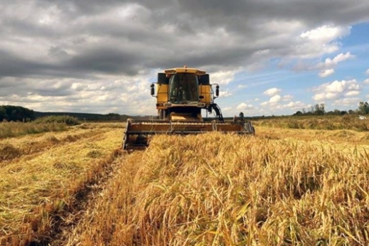Ekonomist Tavukçuoğlu: Tarım ve gıda sektörü büyüyecek
