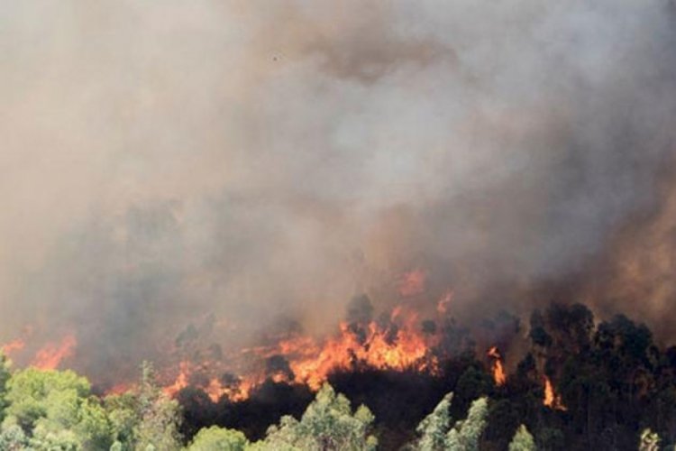 PKK'lı zanlı orman yangını &ccedil;ıkarma talimatı aldığını itiraf etti
